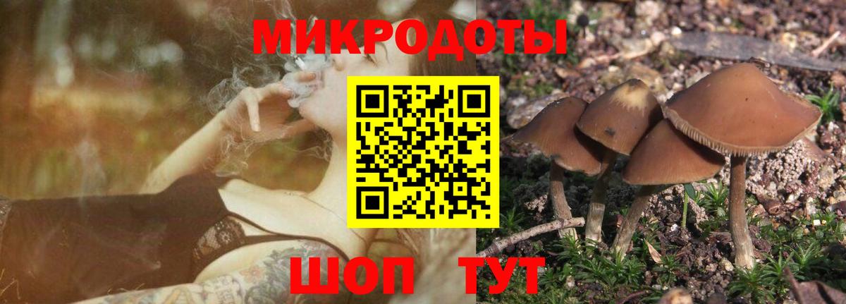Псилоцибиновые грибы GOLDEN TEACHER Верхний Уфалей